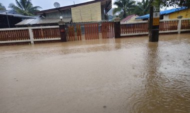 ฝนถล่มเชียงราย น้ำป่าไหลหลากทะลักท่วมบ้านห้วยดอกอูน-บ้านสันทราย อ.พาน เดือดร้อนหนัก