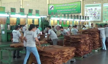 ศก.ตรังทรุด 'ยาง-ปาล์ม'ราคาดิ่ง หอการค้าจี้รัฐอัดงบกระตุ้น-ดันคนละครึ่งฟื้นท่องเที่ยว