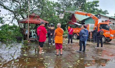 ระทึก!ฝนกระหน่ำ ลมกระโชกแรงโค่นต้นไม่ใหญ่ทับหลังคาวิหารวัดพระธาตุดอยทีมู เสียหาย