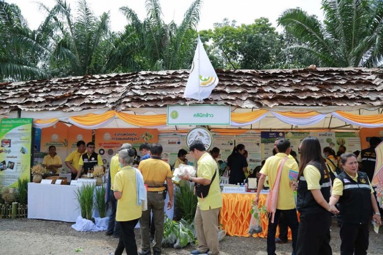 ชวนเกษตรกรทั่วไทย ร่วมงานคลินิกเกษตรเคลื่อนที่เฉลิมพระเกียรติ
