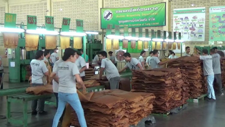 ศก.ตรังทรุด 'ยาง-ปาล์ม'ราคาดิ่ง หอการค้าจี้รัฐอัดงบกระตุ้น-ดันคนละครึ่งฟื้นท่องเที่ยว
