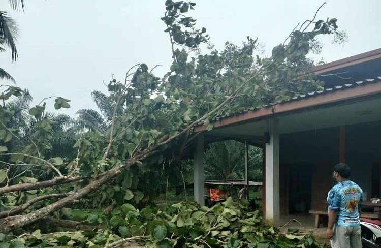 ฝนถล่มกระบี่ บ้านเรือนเสียหายนับร้อยหลัง เร่งช่วยเหลือผู้ประสบภัย