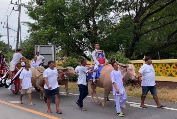 สืบสานประเพณีโบราณใช้ควายเทียมเกวียน เคลื่อนร่างผู้วายชนม์ ฌาปนกิจที่วัด