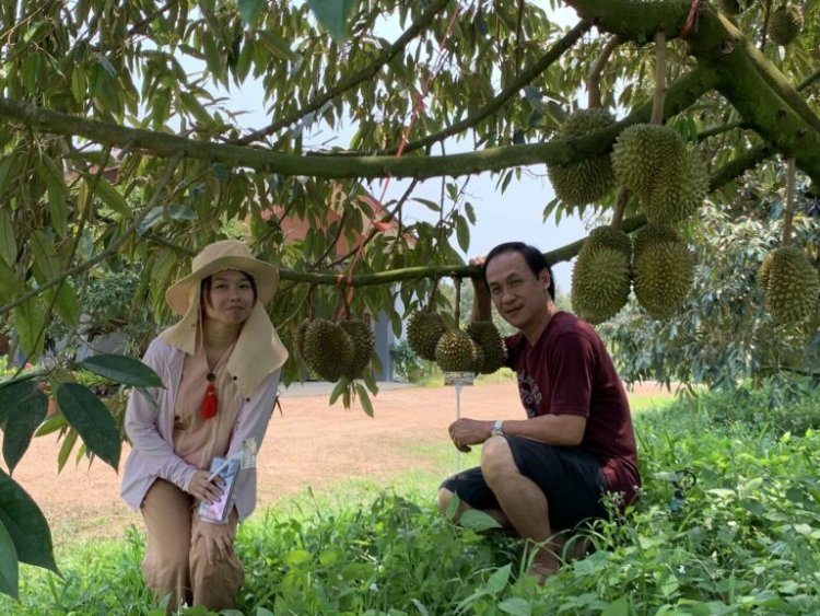 สวนคุณลูกหมู ต้นแบบพัฒนาการผลิต ทุเรียน-มังคุด ส่งออกจีน