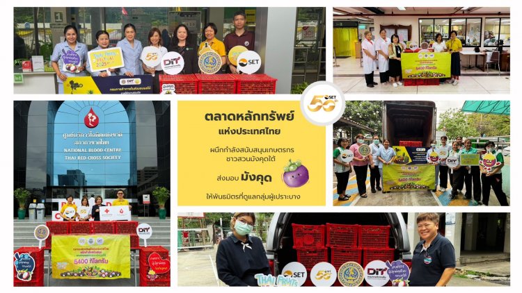 "ตลาดหลักทรัพย์"หนุนชาวสวนมังคุดใต้ รวมพลังอิ่มยกกำลัง2