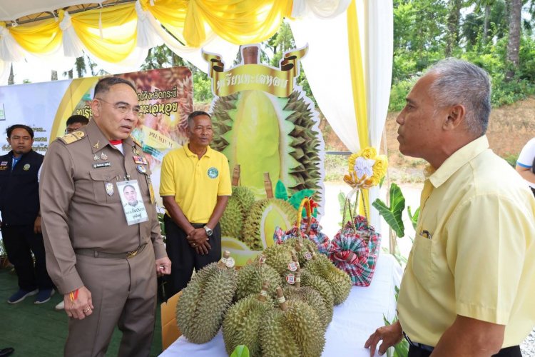 องคมนตรี ลงพื้นที่ติดตามโครงการพระราชดำริ 3 แห่งที่จังหวัดกระบี่