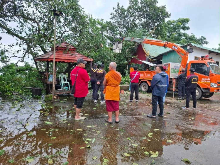 ระทึก!ฝนกระหน่ำ ลมกระโชกแรงโค่นต้นไม่ใหญ่ทับหลังคาวิหารวัดพระธาตุดอยทีมู เสียหาย