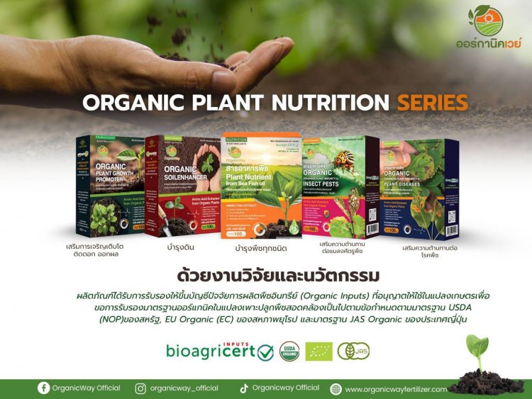 ออร์กานิคเวย์ เปิดตัว “ชุดอาหารพืชอินทรีย์ 5 สูตร”ขับเคลื่อนระบบเกษตรอินทรีย์สู่ความยั่งยืน ผ่านโมเดล BCG