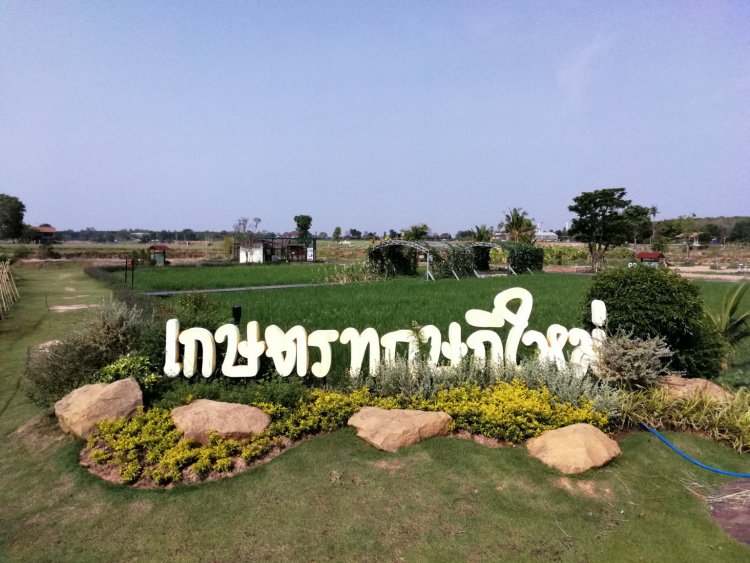 ศวข.สุรินทร์ ขับเคลื่อน "โครงการเกษตรอทิตยาทร" พัฒนาการผลิตข้าวหอมมะลิดีที่สุดในประเทศ