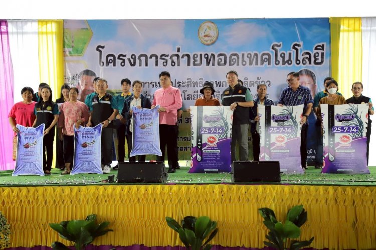 พ่อเมืองตาก – “สส.ปั้น” ถ่ายทอดเทคโนโลยีการเพิ่มประสิทธิภาพการผลิตข้าวครบวงจร