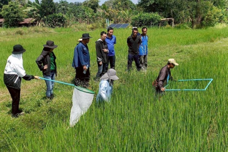 เมล็ดพันธุ์คุณภาพดี ลดต้นทุน เพิ่มผลผลิต ตอบโจทย์ตลาดโลก