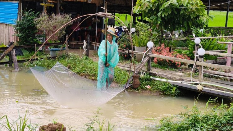 พลิกวิกฤติน้ำท่วมเป็นโอกาส "ชาวนาหมื่นศรี"จับปลาขายสร้างเงินหลักพัน/วัน