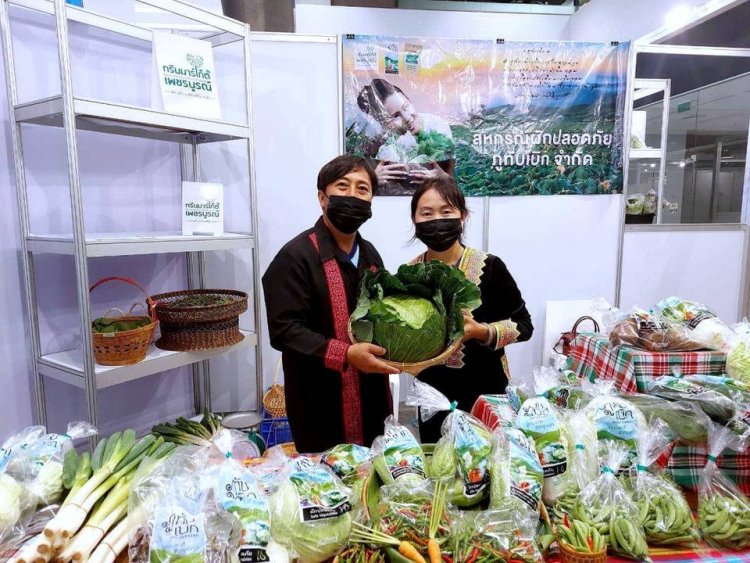“สหกรณ์ภูทับเบิก” ดันผักปลอดภัย–อินทรีย์ สู่โมเดิร์นเทรด ยกระดับมาตรฐาน GAP เพิ่มรายได้