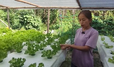 ชาวอุทัยธานีพลิกผืนดินเนรมิตรสวนผักเพื่อสุขภาพ-แหล่ฃเรียนรู้ต่อยอดเชิงพาณิชย์