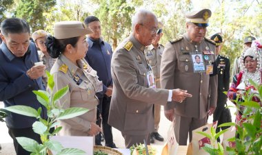 พื้นที่น้อยให้ผลผลิตสูง สร้างรายได้ทั้งปี พิสูจน์ผลสำเร็จเกษตรผสมผสานตามพระราชดำริ
