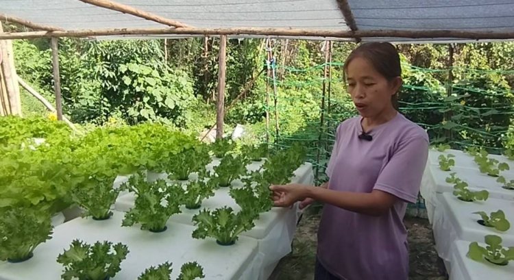 ชาวอุทัยธานีพลิกผืนดินเนรมิตรสวนผักเพื่อสุขภาพ-แหล่ฃเรียนรู้ต่อยอดเชิงพาณิชย์