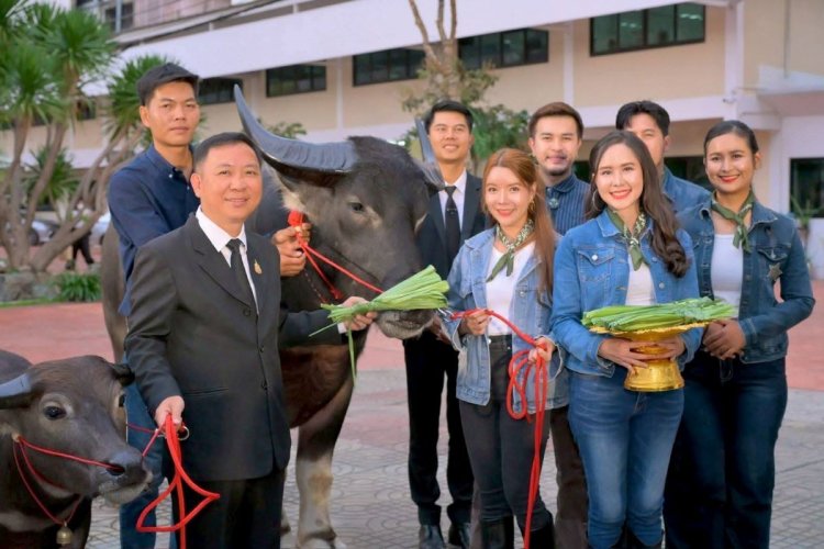 อนุรักษ์ สืบสาน รักษา ต่อยอด กระบือปลักไทยเพิ่มรายได้เกษตรกรไทย