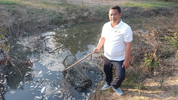 คนปราจีนบุรีร้องทุนจีนเท่าปล่อยน้ำเสียลงคลองปลายตายเกลื่อน