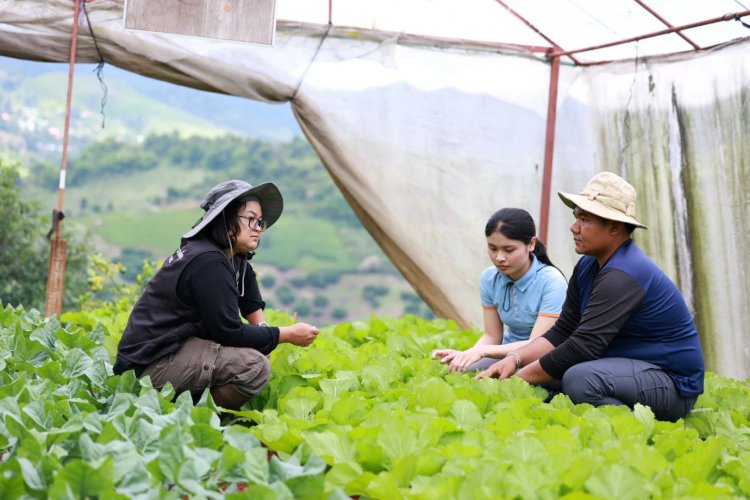 ปลุกคนรุ่นใหม่หัวใจเกษตรลุยขับเคลื่อนเกษตรยั่งยืนบนดอยแม่สลอง