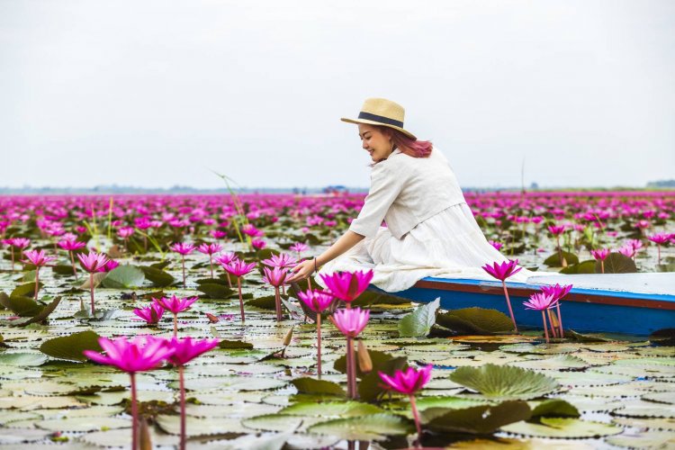 นักท่องเที่ยวไทย-เทศแห่เที่ยวทะเลแดงบึงหนองหาน “ตามรอยลิซ่า”