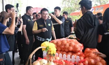 “รักนะจึงให้หอม”ปล่อยคาราวานหอมหัวใหญ่เชียงใหม่ฝ่าภาวะล้นตลาด