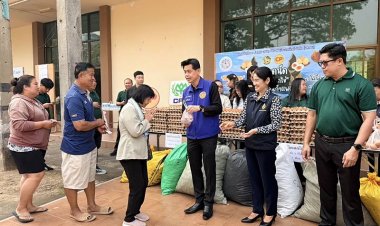 สันกำแพง เปลี่ยนกองใบไม้ สู่ไข่ในครัว ลดเผา แก้ฝุ่นพิษ  PM 2.5