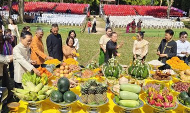 อะร้าอร่าม!เทศกาลดอกลำดวนบานสืบสานประเพณี 4 เผ่าไทศรีสะเกษกระตุ้นท่องเที่ยว