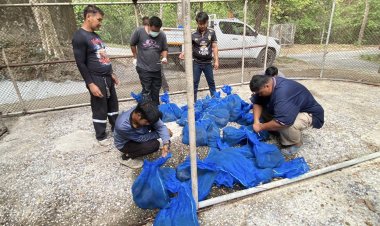 สบอ.1 (ปราจีนบุรี) ขานรับนโยบาย รมว.ทส. สกัดขบวนการค้าสัตว์ป่าข้ามชาติ ยึดลิงแสม 51 ชีวิต