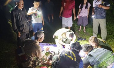 เตือนภัยชาวปราจีนบุรี-นครนายก!พบเห็นช้างป่าควรหลีกเลี่ยงหลังทำร้ายผู้สูงวัยเสียชีวิต