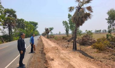 ข้อมูลปลอม!ศรีสะเกษแจงตรวจสอบ "ตัดต้นตาล 3  ล้านต้นไม่เป็นความจริง