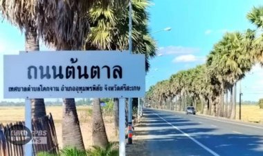 "ดาบวิชัย"ปลุกกระแสฟีเวอร์ "คนศรีสะเกษ"ปลูกต้นไม้ "ล้านต้น"ลดโลกร้อน