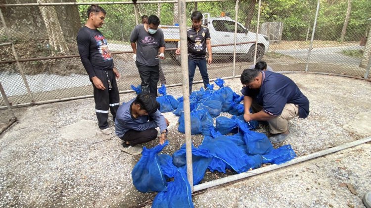 สบอ.1 (ปราจีนบุรี) ขานรับนโยบาย รมว.ทส. สกัดขบวนการค้าสัตว์ป่าข้ามชาติ ยึดลิงแสม 51 ชีวิต