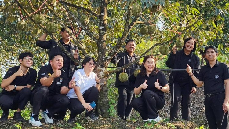 กรมส่งเสริมสหกรณ์ งัด 4 มาตรการรับมือผลไม้ปี 69 ดัน "สินค้า GI" บุกโมเดิร์นเทรด