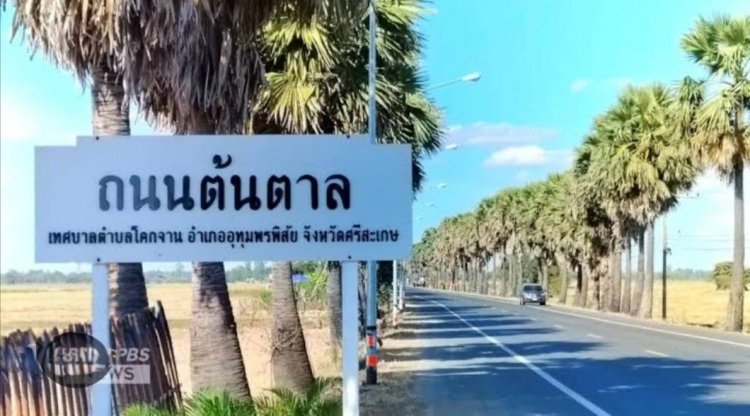 "ดาบวิชัย"ปลุกกระแสฟีเวอร์ "คนศรีสะเกษ"ปลูกต้นไม้ "ล้านต้น"ลดโลกร้อน