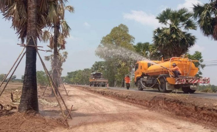 ทางหลวงชนบทศรีสะเกษ แจงดราม่าโค่นต้นตาล ขยายถนน ยันปลูกคืน–ย้ายปลูก ไม่ทิ้งอัตลักษณ์ท้องถิ่น