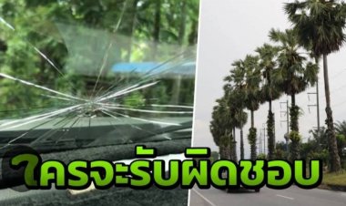 เหรียญย่อมมี 2 ด้าน!ถนนต้นตาล ทัศนียภาพที่งดงาม คู่กับอันตราย...