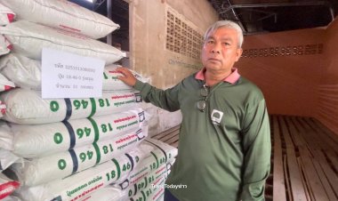วิกฤตสงคราม ฉุดส่งมอบปุ๋ยล่าช้า 1 เดือน ราคาพุ่ง-สหกรณ์ผลิตไม่ได้ กระทบเกษตรกรทั่วภาคใต้