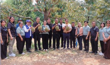 ผู้ว่าฯ ศรีสะเกษพาคณะเร่งเยียวยาเกษตรกรสวนทุเรียนภูเขาไฟโดนพายุฤดูร้อนถล่มเสียหายยับ