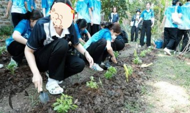 โครงการปลูกต้นไม้ ผักชีโรยหน้าเปรียบดังปักดอกไม้ใส่แจกัน ในที่สุดก็เหี่ยวเฉาโรยรา