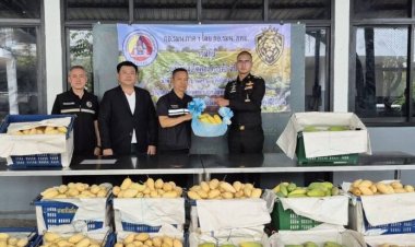 ร่วมด้วยช่วยกัน!กอ.รมน.ภาค 1 ผนึกเอกชน รับซื้อผลผลิตเกษตร ช่วยพยุงราคาหลังต้นทุนพุ่ง