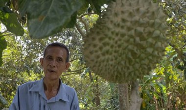เจาะลึก 2 สวนทุเรียนปราจีนบุรี ชูวิถีอินทรีย์-คุณภาพพรีเมียม เมินกระแสดรามา! "ทุเรียนไลฟ์สดลูกละ100บาท" ย้ำความจริงใจมัดใจลูกค้า