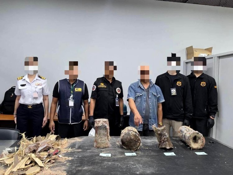 กรมศุลกากร ร่วมกับหน่วยงานที่เกี่ยวข้องตรวจยึดนอแรดมูลค่ารวมกว่า 20 ล้านบาท