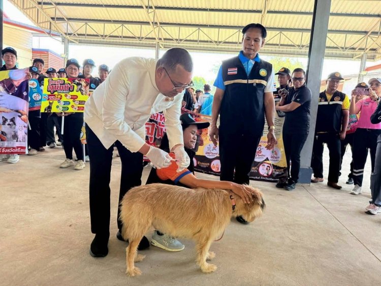 อำเภอขุขันธ์ลุยฉีดวัคซีน“พิษสุนัขบ้า”ครอบคลุม 12 หมู่บ้าน สร้างชุมชนปลอดภัยทั้งคนและสัตว์