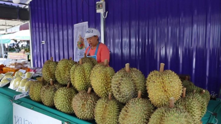 "พิมรี่พาย"ไลฟ์สดขายทุเรียนลูกละ100 พ่อค้าแม่ค้าบุรีรัมย์เชื่อไม่กระทบยอดขาย ลูกค้ารู้กันเอง