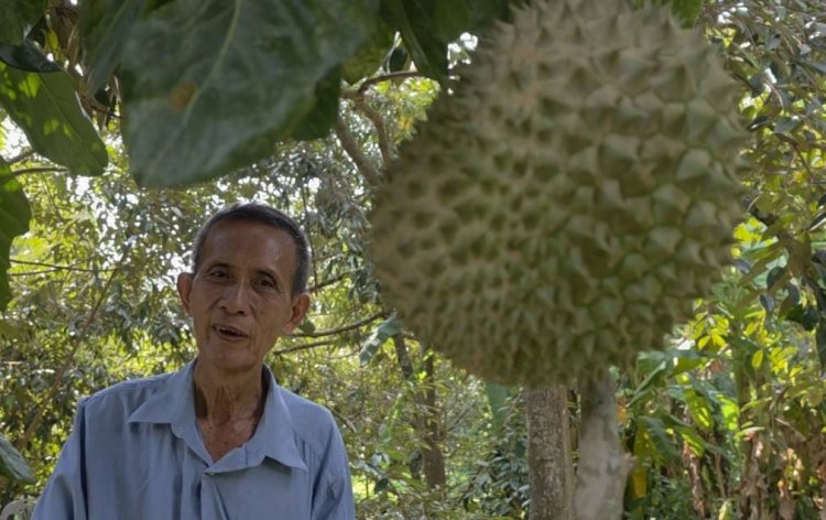 เจาะลึก 2 สวนทุเรียนปราจีนบุรี ชูวิถีอินทรีย์-คุณภาพพรีเมียม เมินกระแสดรามา! "ทุเรียนไลฟ์สดลูกละ100บาท" ย้ำความจริงใจมัดใจลูกค้า