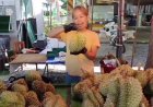 พ่อค้าแม่ค้าหวัง "ไทยช่วยไทย พลัส"กระตุ้นจับจ่ายใช้สอย-เศรษฐกิจคึกคัก