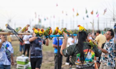 ชมขบวนแห่จรวดมอญเมืองปทุมฯพร้อมโชว์นกบินอิสระ (Free Flight)