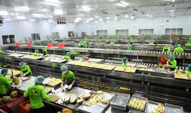 จุดเปลี่ยนสำคัญ!รถไฟด่วนห้องเย็นส่งออก“ทุเรียนไทย” สู่ตลาดจีน 3 วันคุนหมิง 5 เฉิงตู
