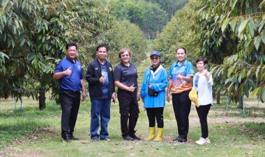 ศรีสะเกษปลุกกระแส "ทุเรียนภูเขาไฟ"จัดใหญ่14มิ.ย.แรลลี่ตะลุยสวนกินของดีเมืองลำดวน