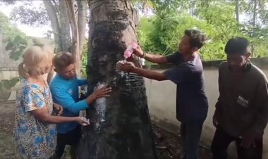 คอหวยอุทัยธานีแห่ขอโชคจอมปลวกใต้ต้นตาลอายุ 100 ปี ได้เลขเด็ดเสี่ยงดวง